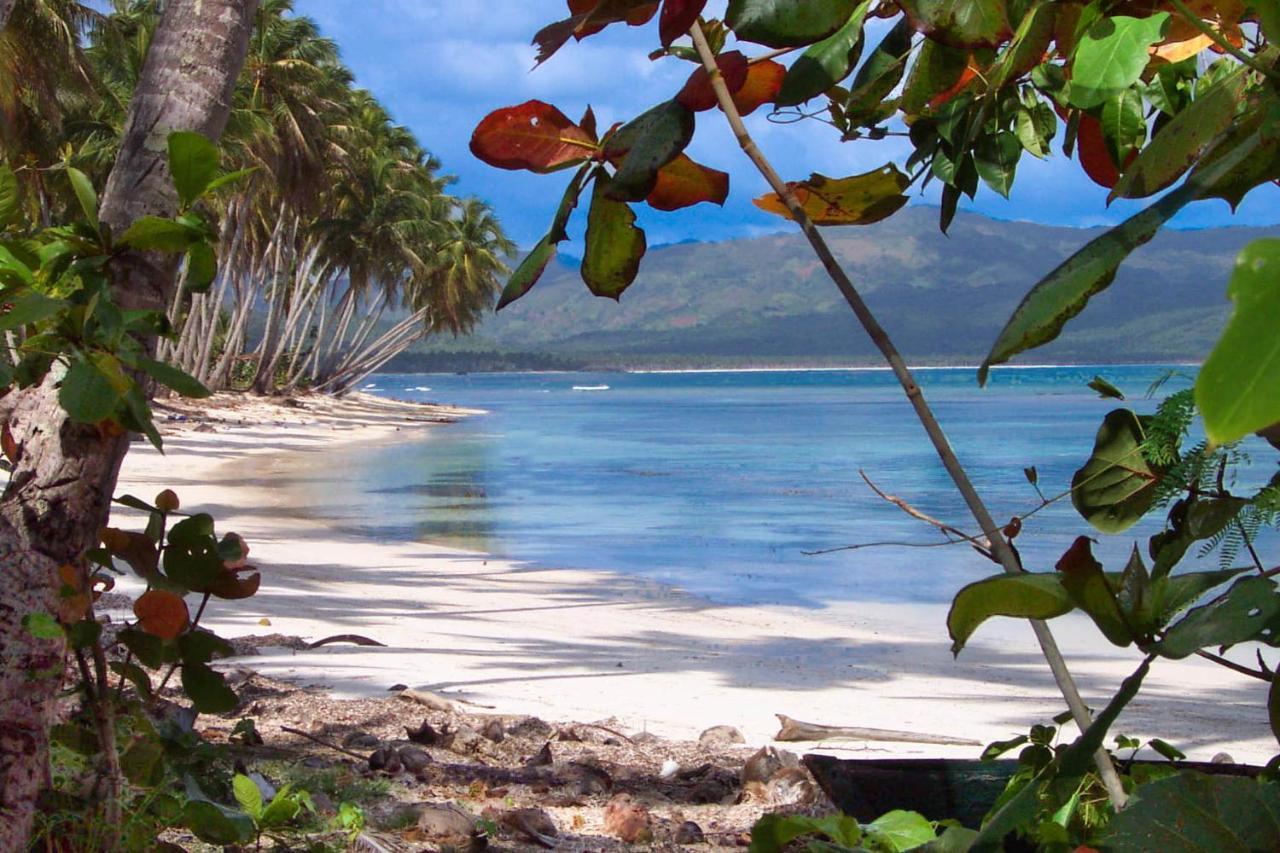 Jasmine La Playita - Ocean Front Apartment Las Galeras Luaran gambar