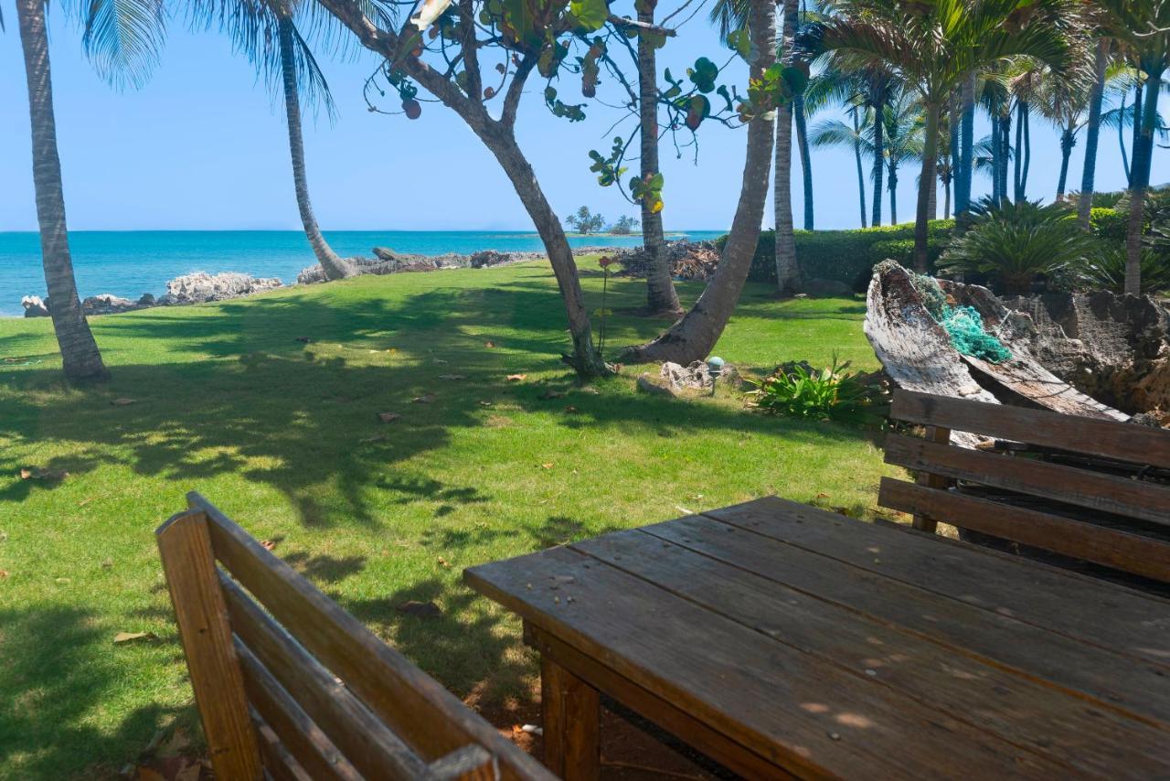 Jasmine La Playita - Ocean Front Apartment Las Galeras Luaran gambar